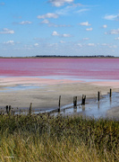 10th Apr 2022 - Lake Weering, Victoria, in full pink