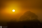 10th Apr 2022 - Sunrise and Morning Fog