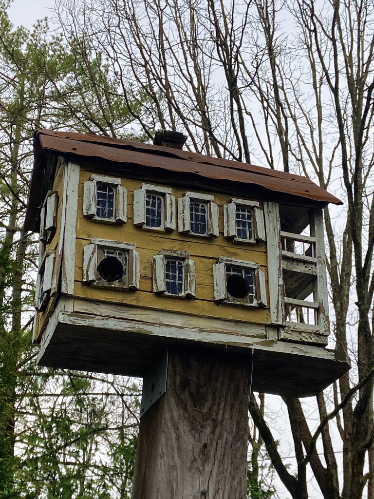 Montford Birdhouse  by 365canupp