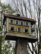 9th Apr 2022 - Montford Birdhouse 