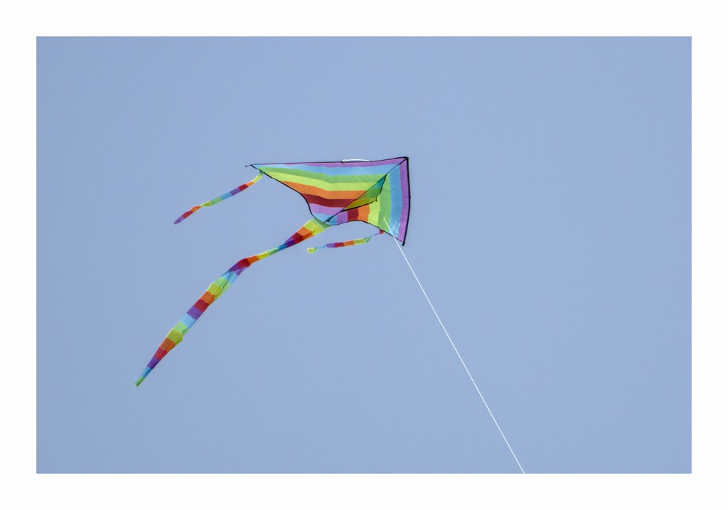Kite by wh2021