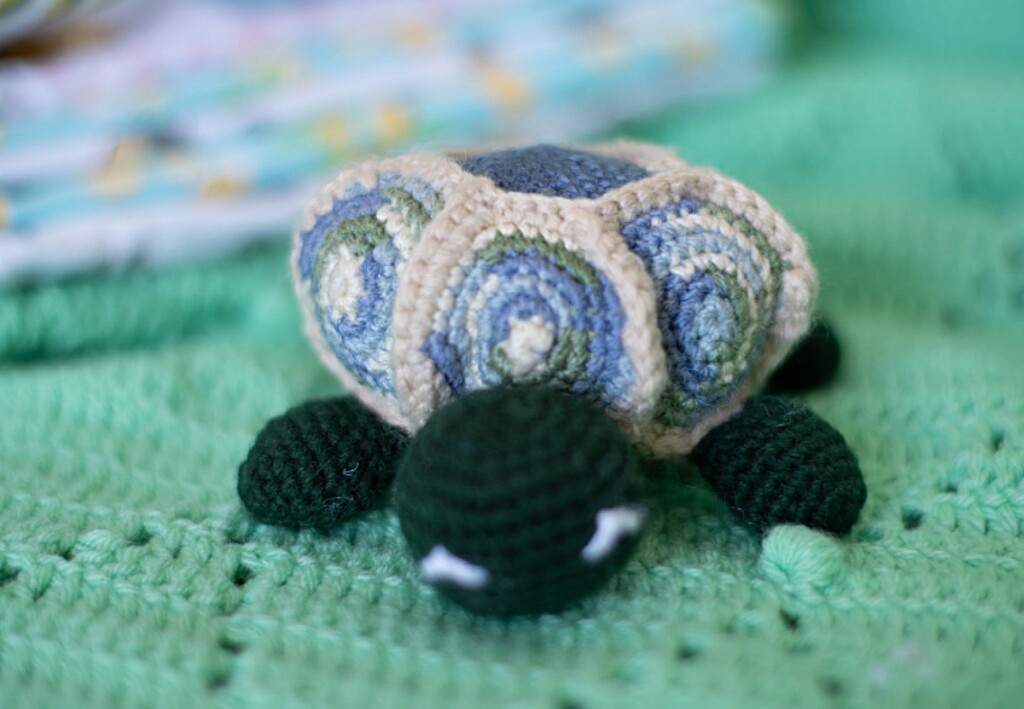 Crochet turtle by dawnbjohnson2