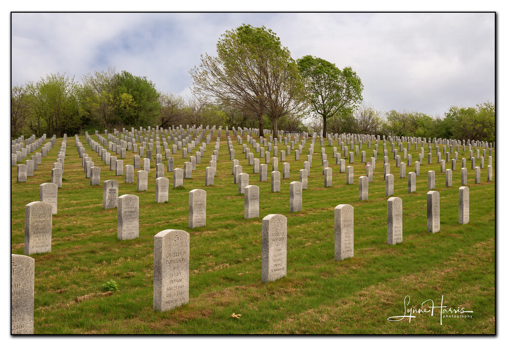 Dallas-Fort Worth National Cemetery by lynne5477