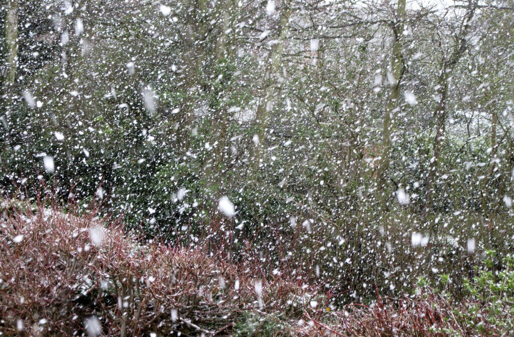 It's snowing ! by lellie