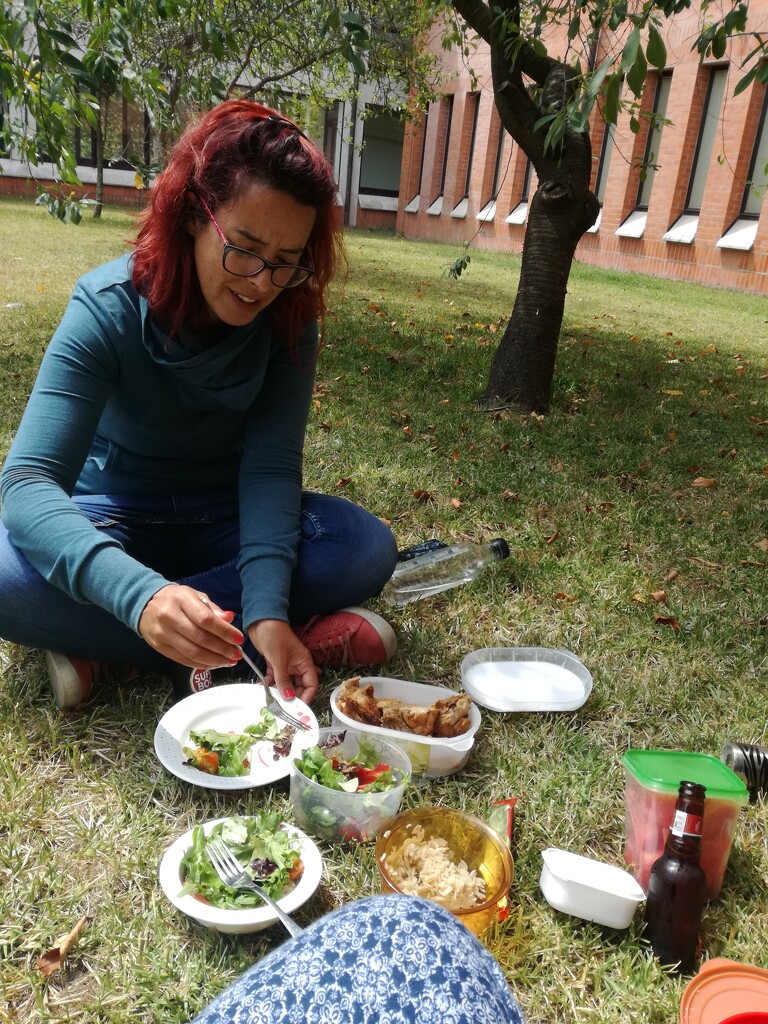 Pic Nic by belucha