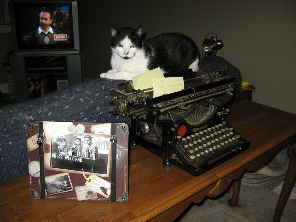 Office #3: Typewriter Katt by spanishliz