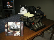 11th Apr 2022 - Office #3: Typewriter Katt