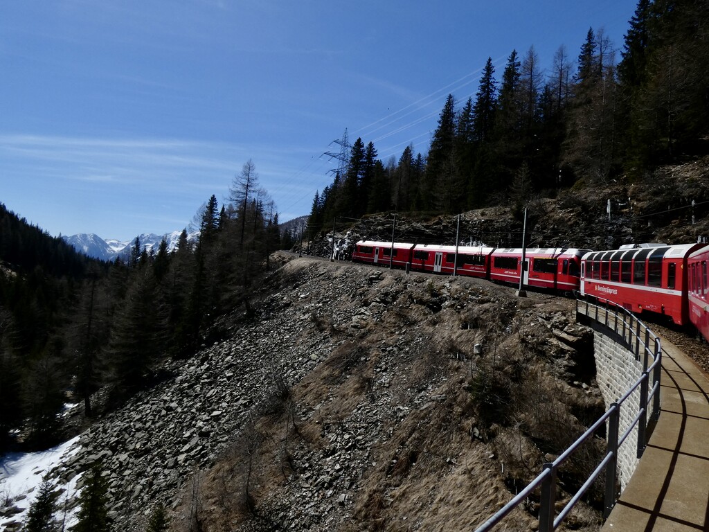 On the Bernina Express by orchid99