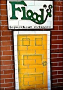 10th Apr 2022 - Leprechaun Door