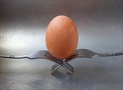 11th Apr 2022 - The Classic Egg and Forks Shot