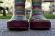 12th Apr 2022 - First known use of gum boots was in 1850. What a winner!