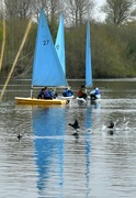 12th Apr 2022 - Playing on the water...