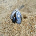 Mussels by belucha
