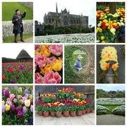 12th Apr 2022 - Arundel castle Tulips
