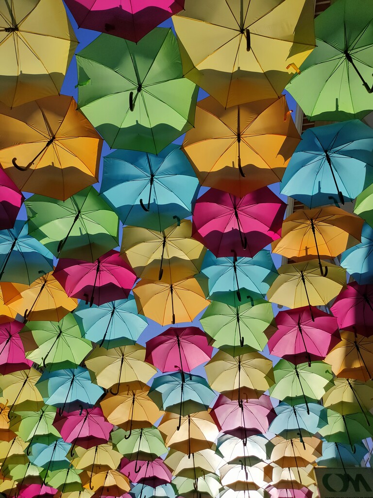 Shiny umbrella by belucha