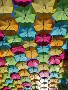 20th Sep 2021 - Shiny umbrella