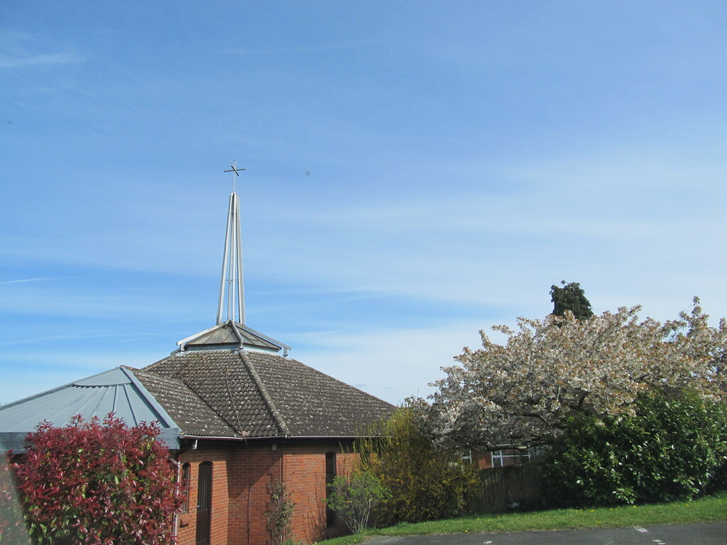 Blossom up at the church by speedwell
