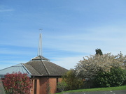 10th Apr 2022 - Blossom up at the church