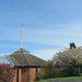 Blossom up at the church by speedwell
