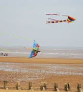 11th Apr 2022 - Let's go fly a kite!