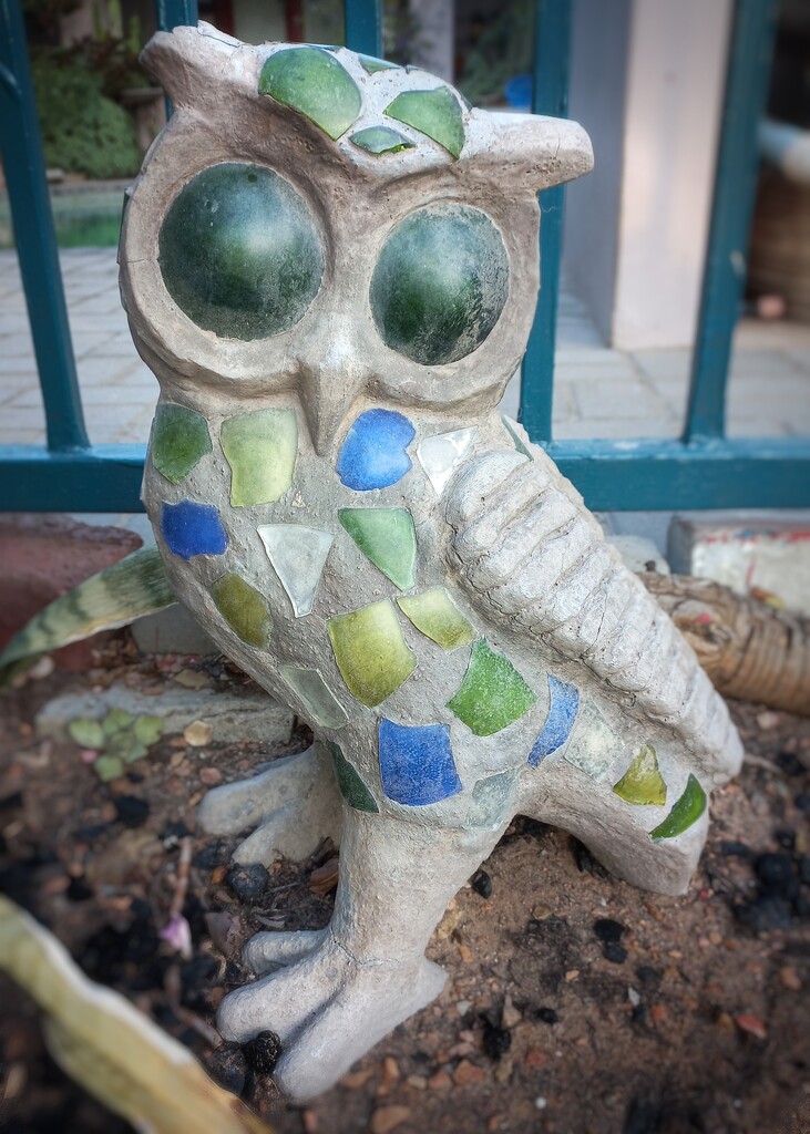 Owl Statue  by salza