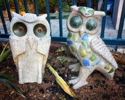 12th Apr 2022 - Owls in the Garden