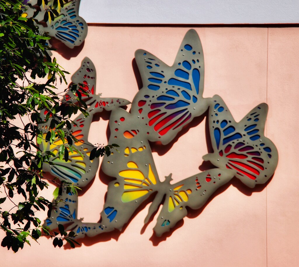 Butterflies are flying flowers  by joemuli
