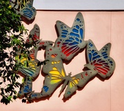 12th Apr 2022 - Butterflies are flying flowers 