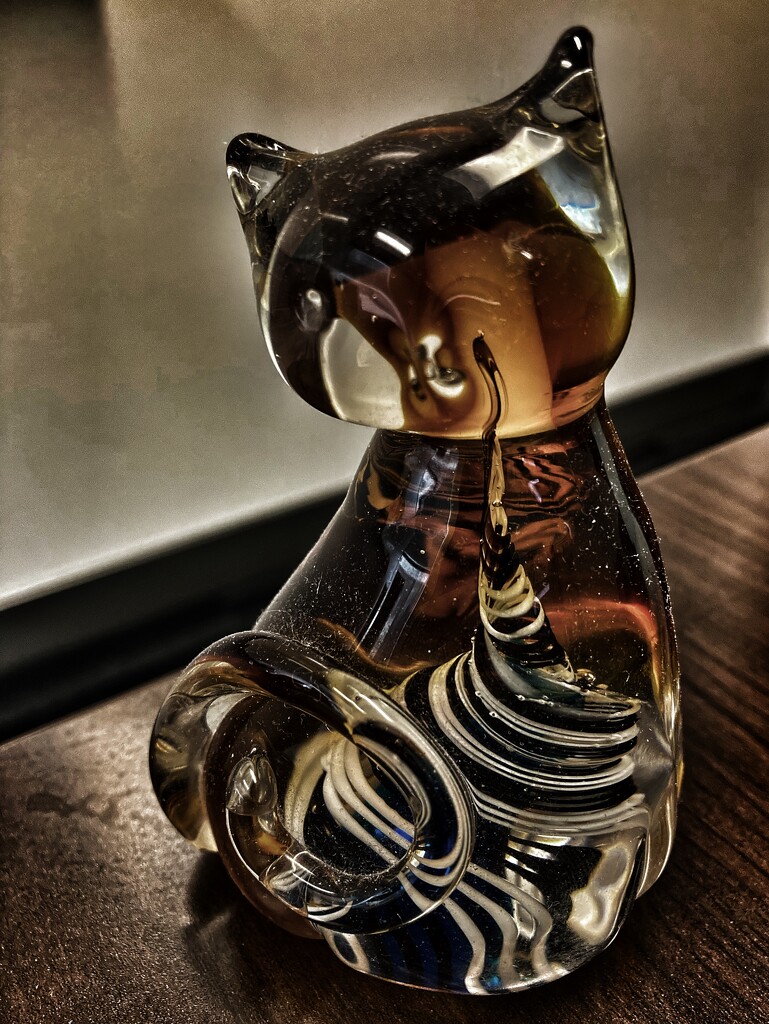102-365 glass cat by slaabs