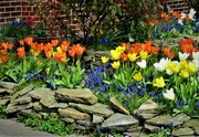 13th Apr 2022 - A Garden in flower for Holy Week.