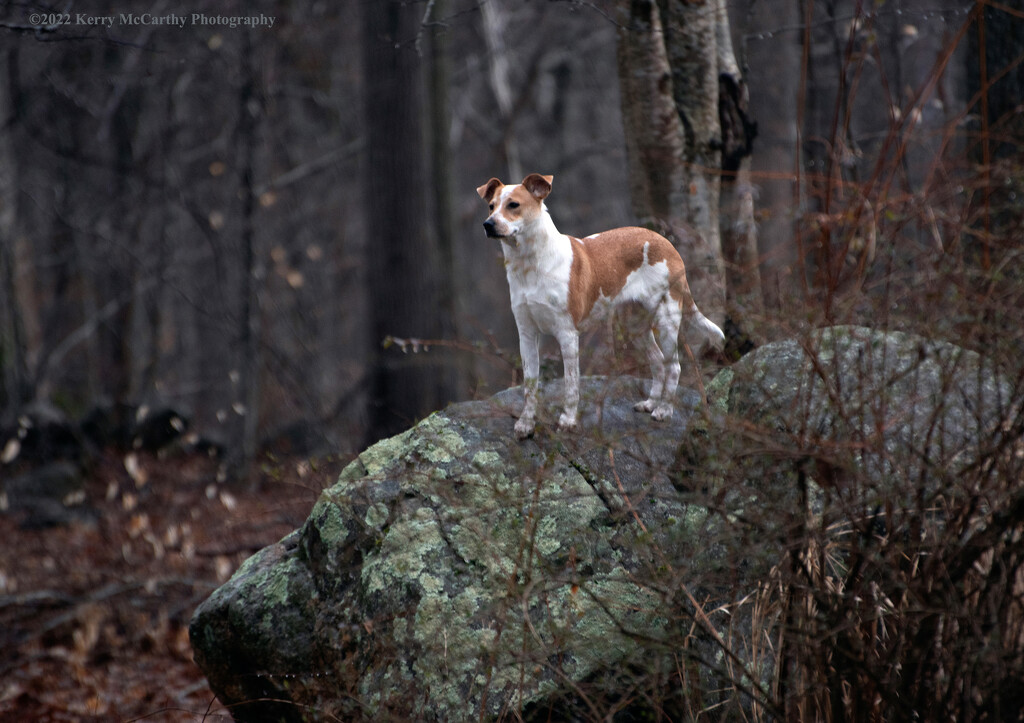 Annie playing mountain goat by mccarth1