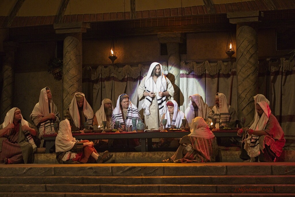 LHG_8275The promise -Last supper scene by rontu