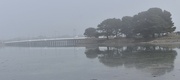 14th Apr 2022 - A misty morning