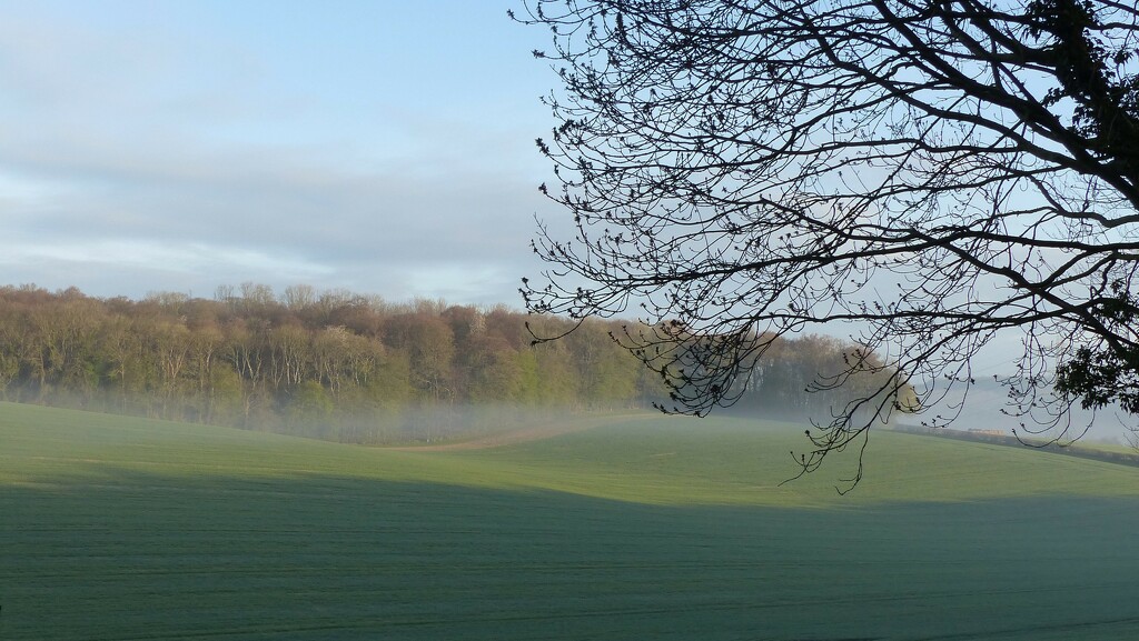 Morning mist and sunshine  by jokristina