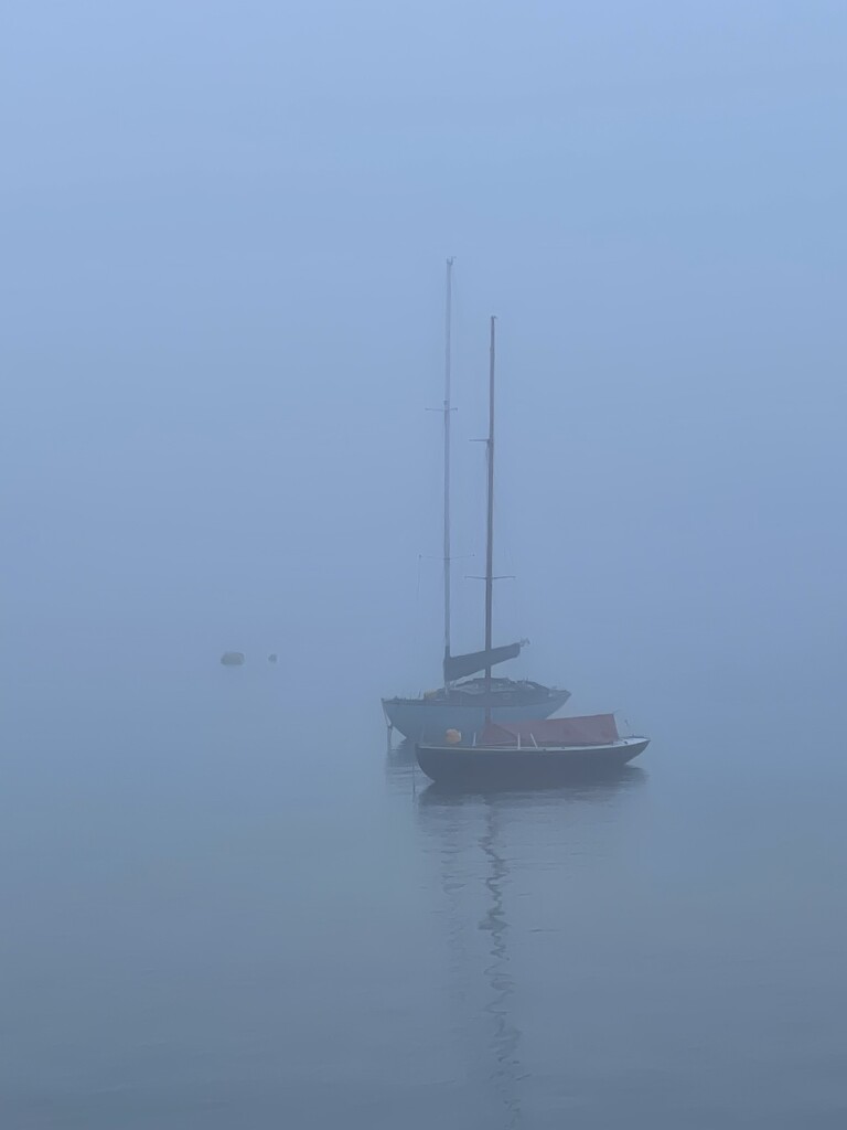 Boats in the mist. by bill_gk