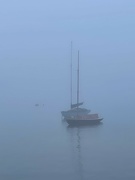 14th Apr 2022 - Boats in the mist.