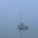 Boats in the mist. by bill_gk