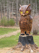 14th Apr 2022 - The Owl