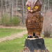 The Owl by joansmor