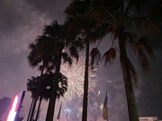27th Jan 2022 - Fireworks 💥 
