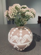 23rd Feb 2022 - Flowers in Vases