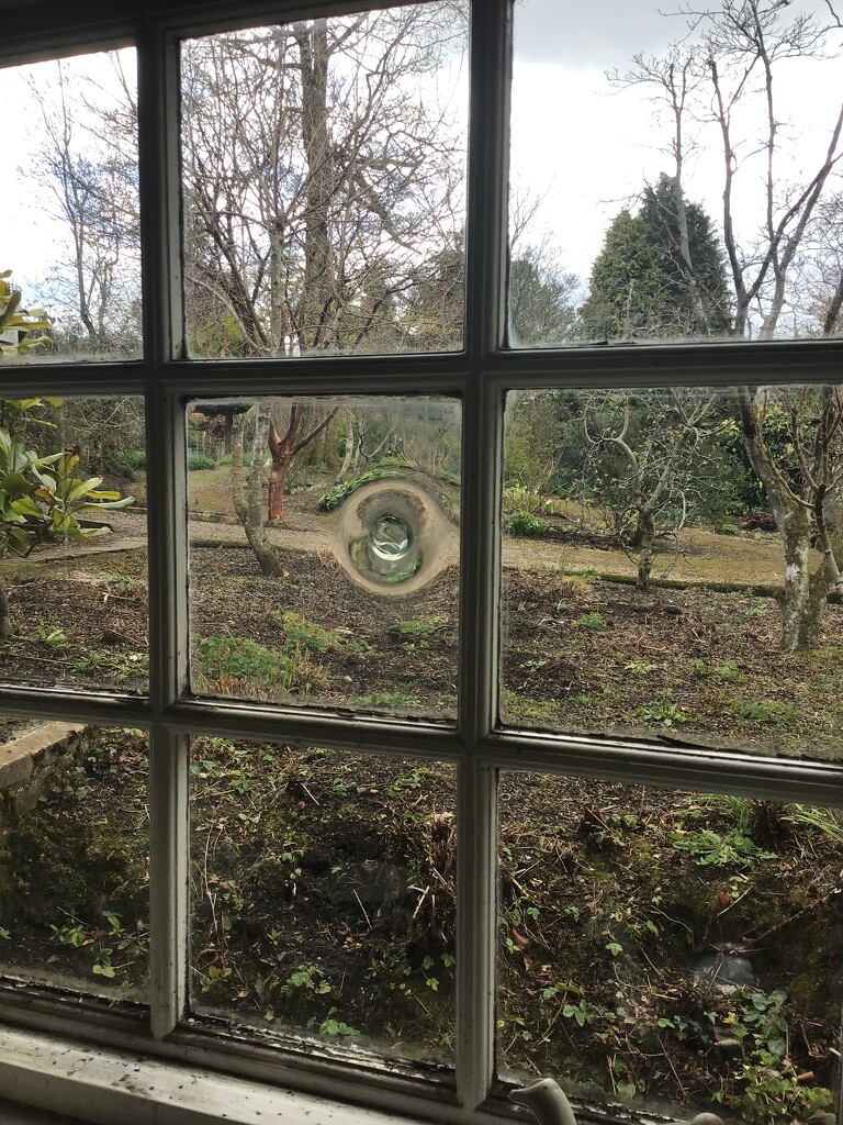 Through the window by jab
