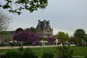 13th Apr 2022 - Spring in the Tuileries