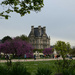 Spring in the Tuileries by parisouailleurs