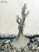 15th Apr 2022 - Sand Tree
