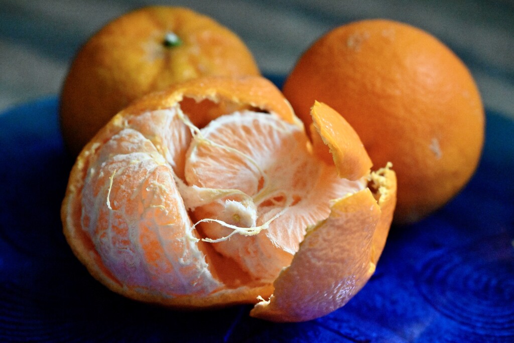 Oranges by metzpah
