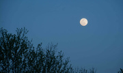 15th Apr 2022 - Night before the Pink Moon
