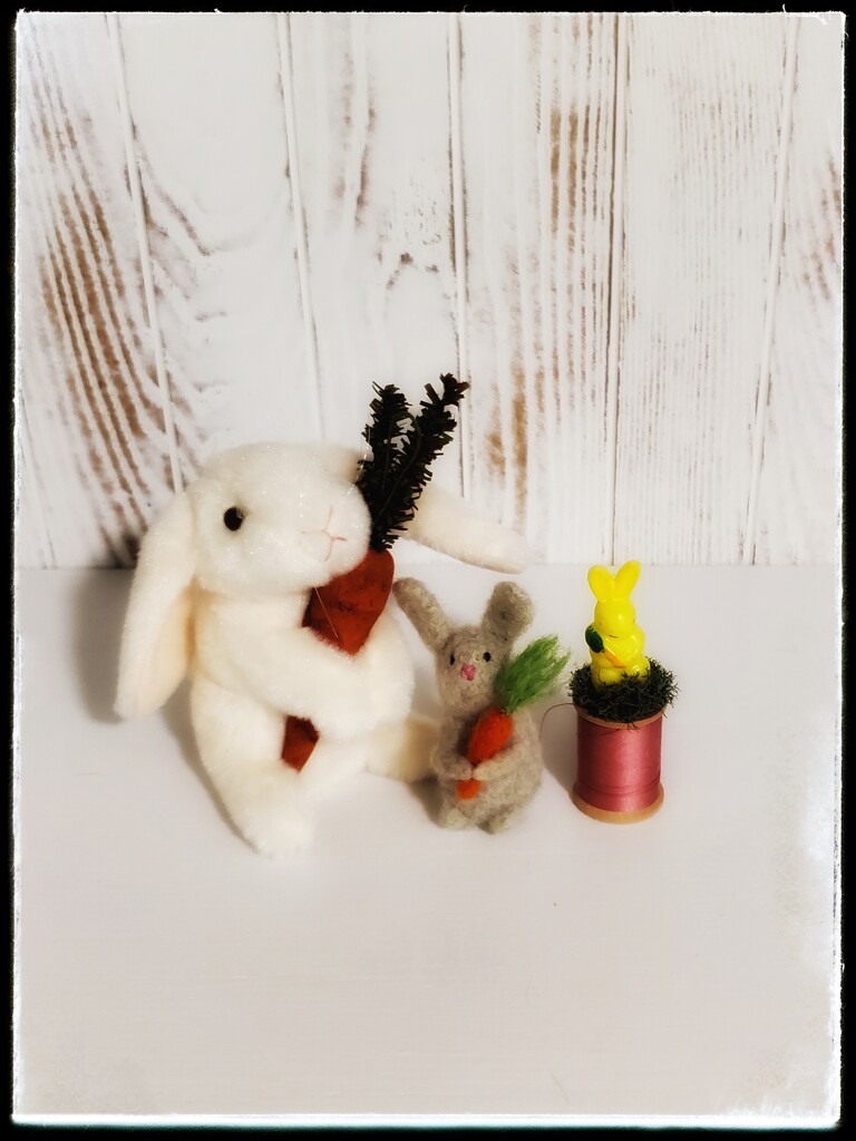 3 bunnies by edorreandresen