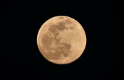 15th Apr 2022 - The Non-Pink Pink Moon