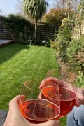 26th Mar 2022 - Cheers to our New Garden 